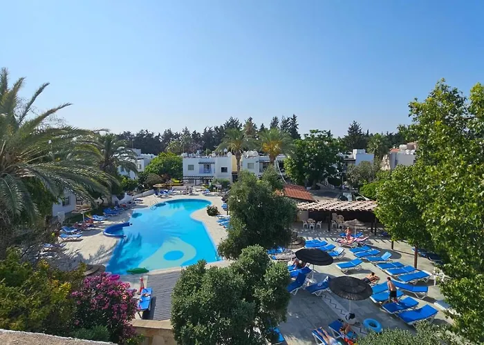 Gardens Mimoza 209 * 파포스